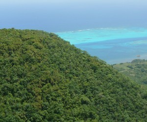 Peak Providencia Fuente: patrimonionaturalorgco